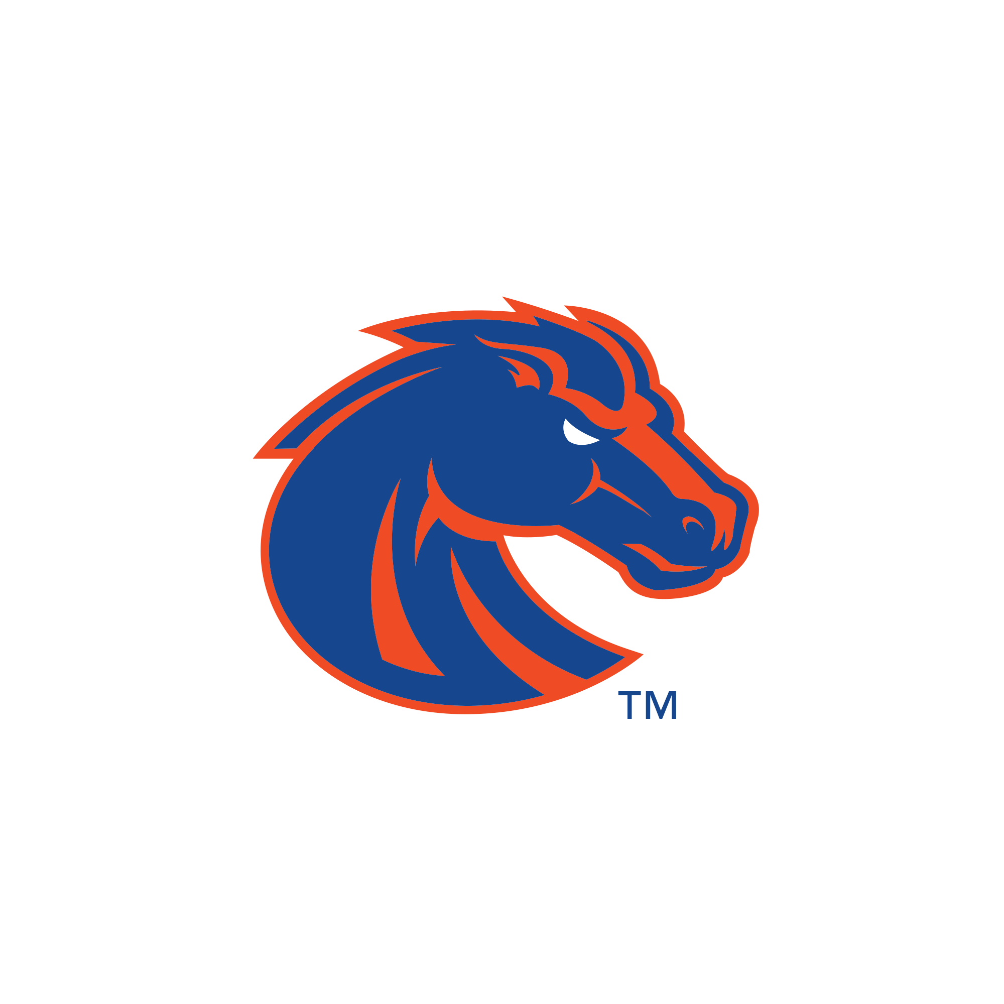 Boise State Broncos