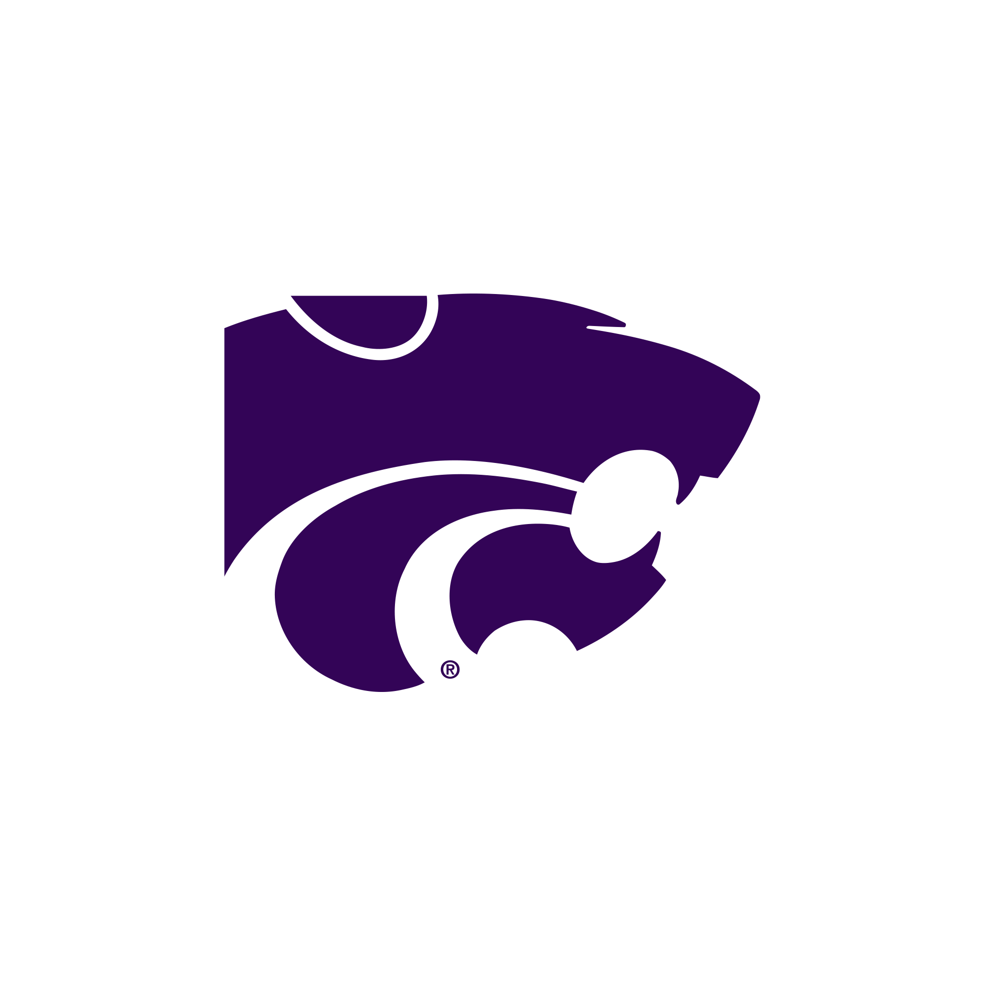 Kansas State Wildcats