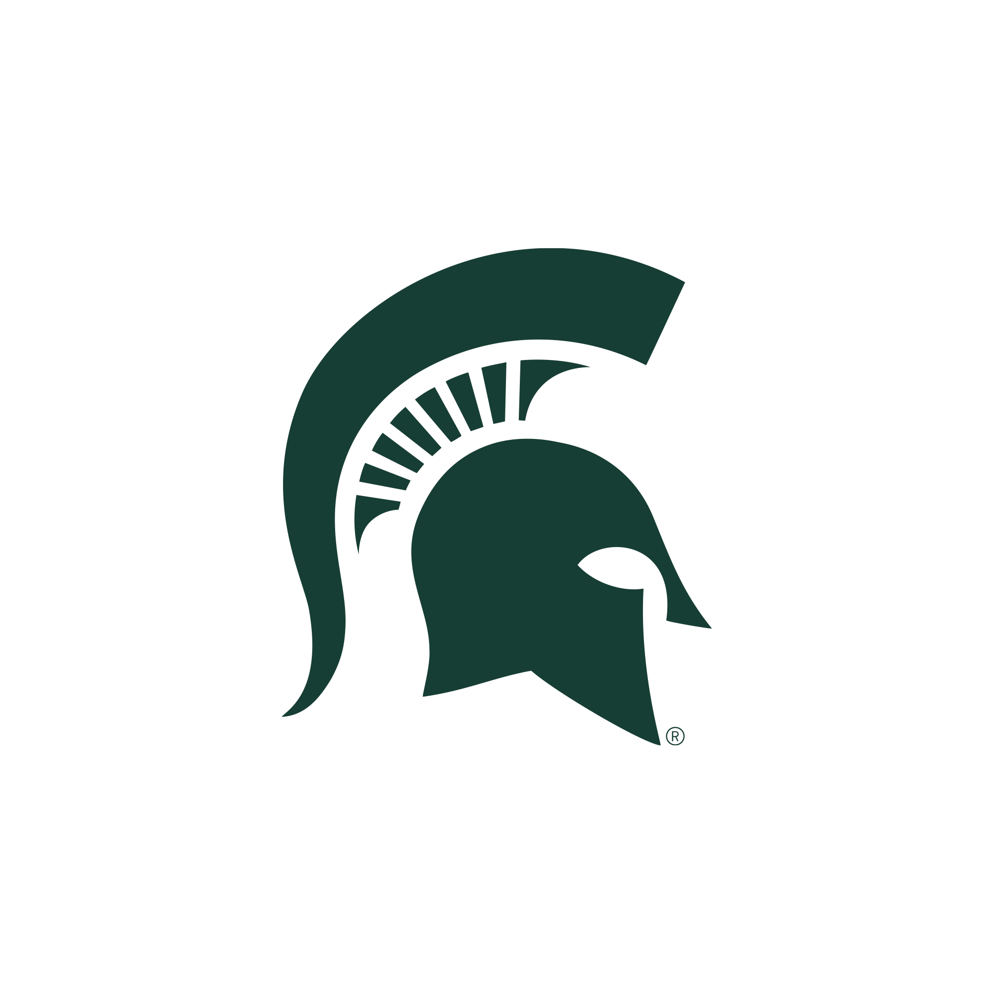Michigan State Spartans