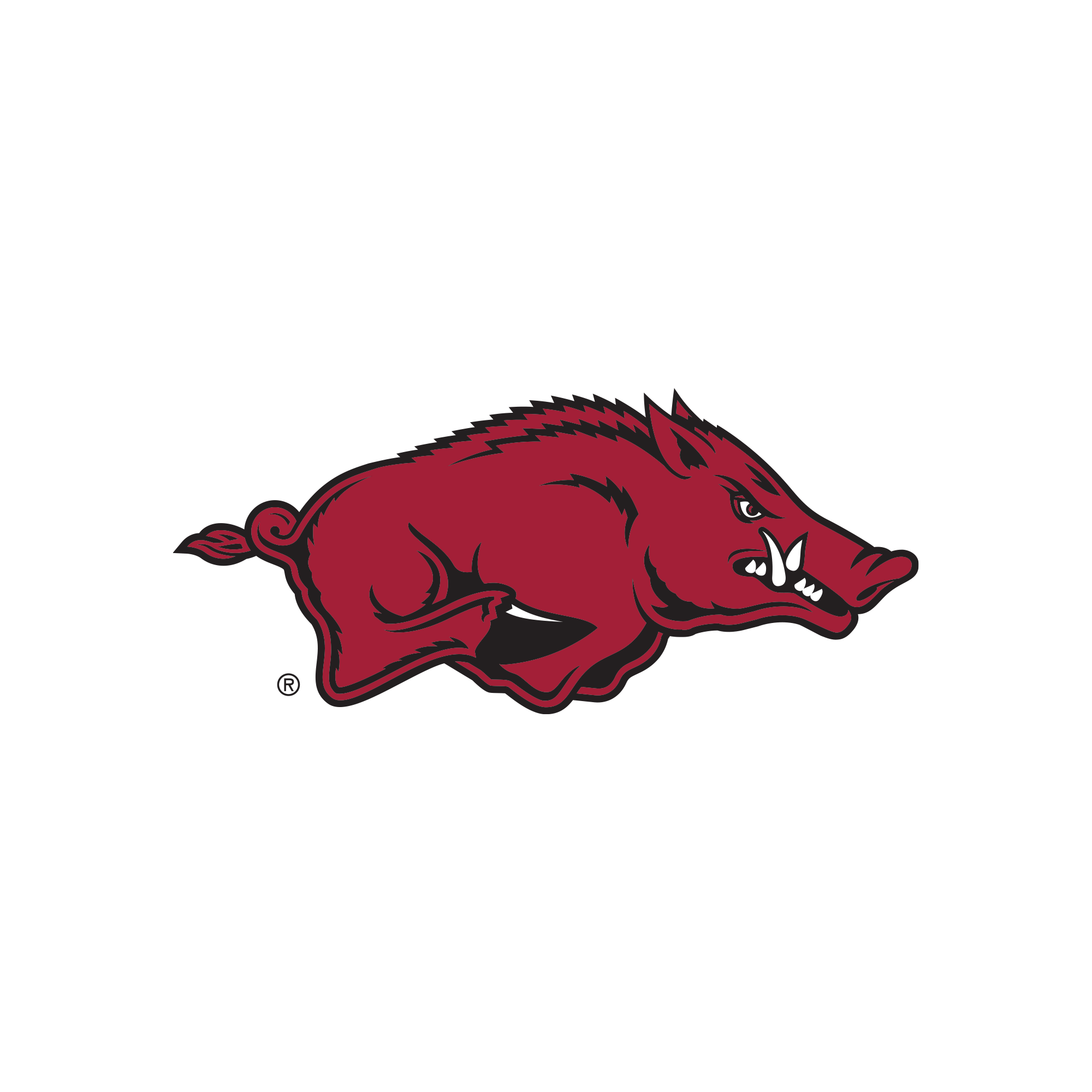 Arkansas Razorbacks