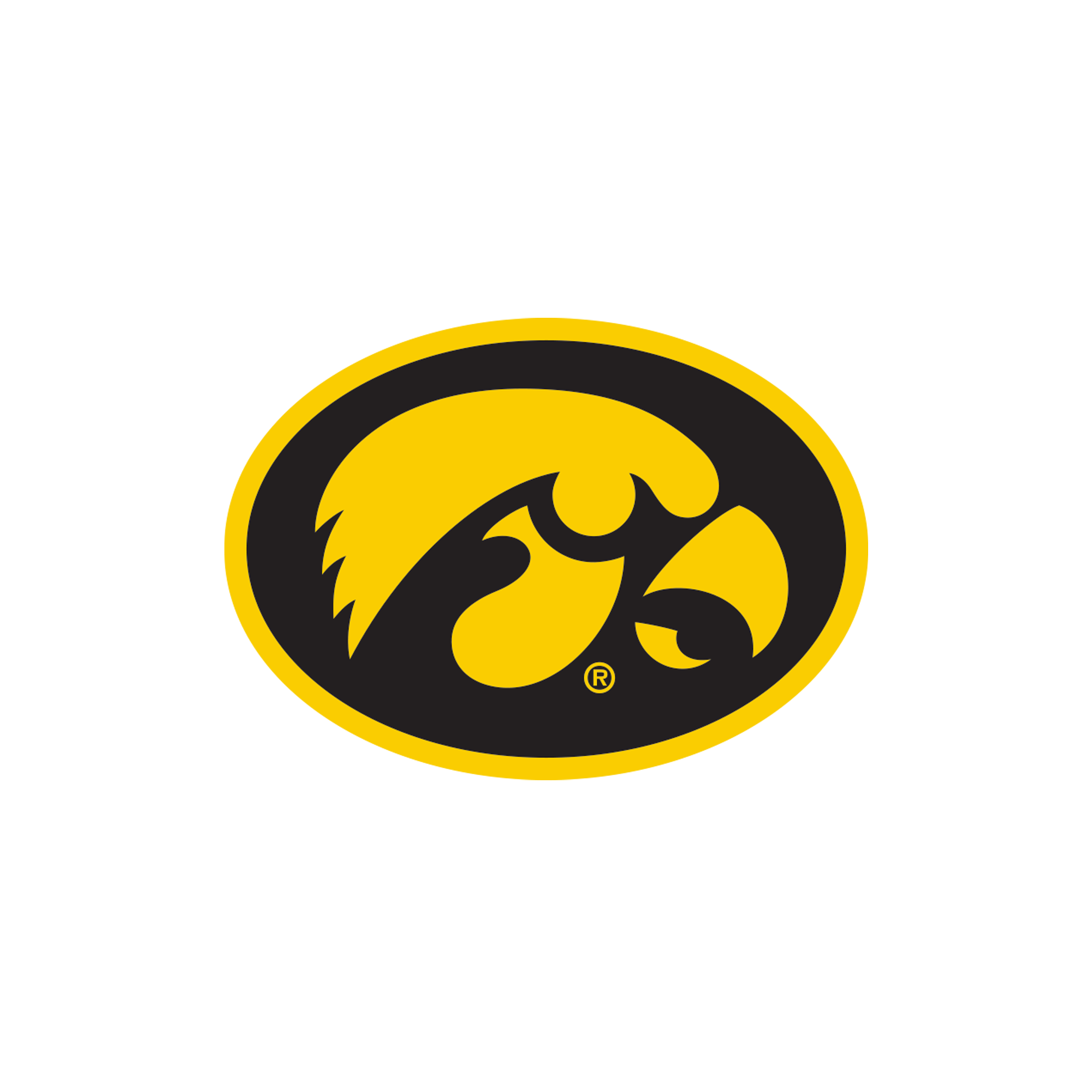 Iowa Hawkeyes