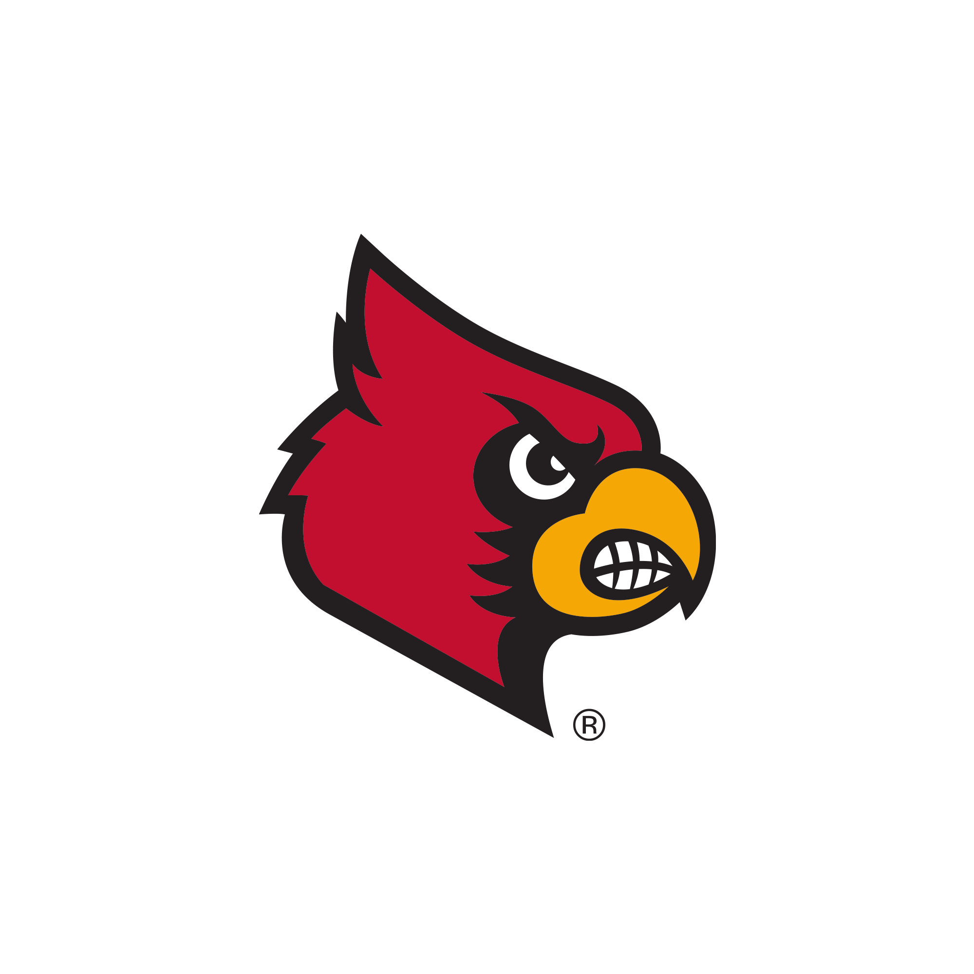 Louisville Cardinals