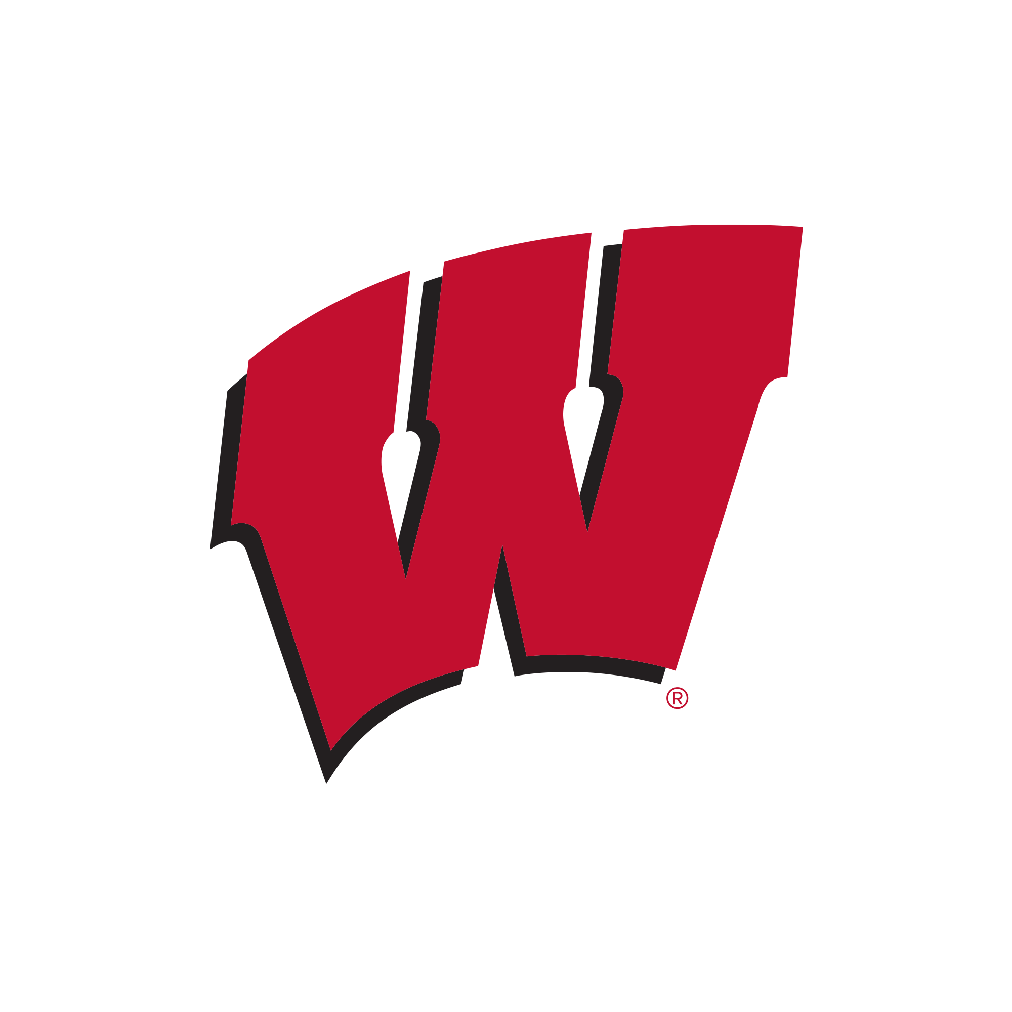 Wisconsin Badgers