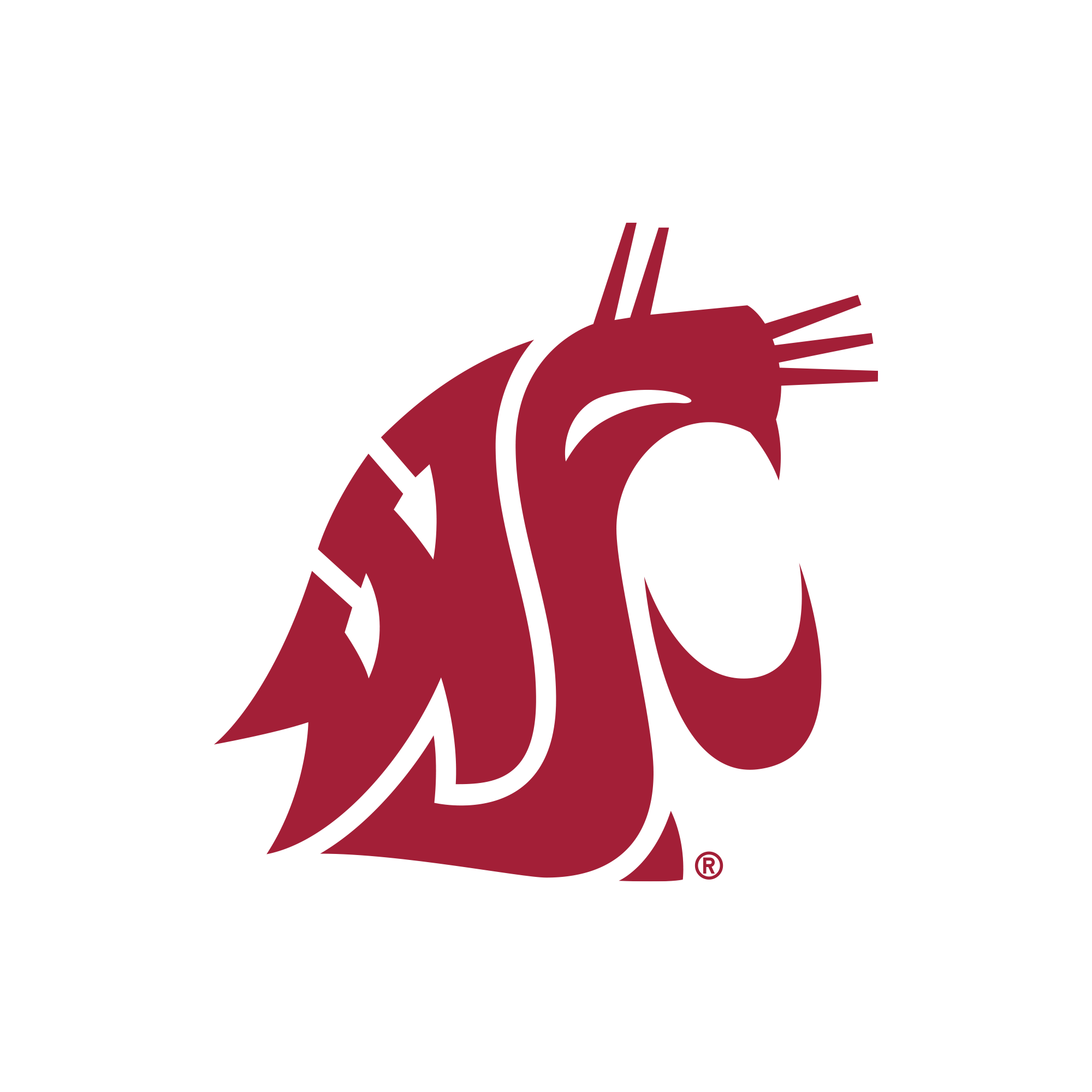 Washington State Cougars