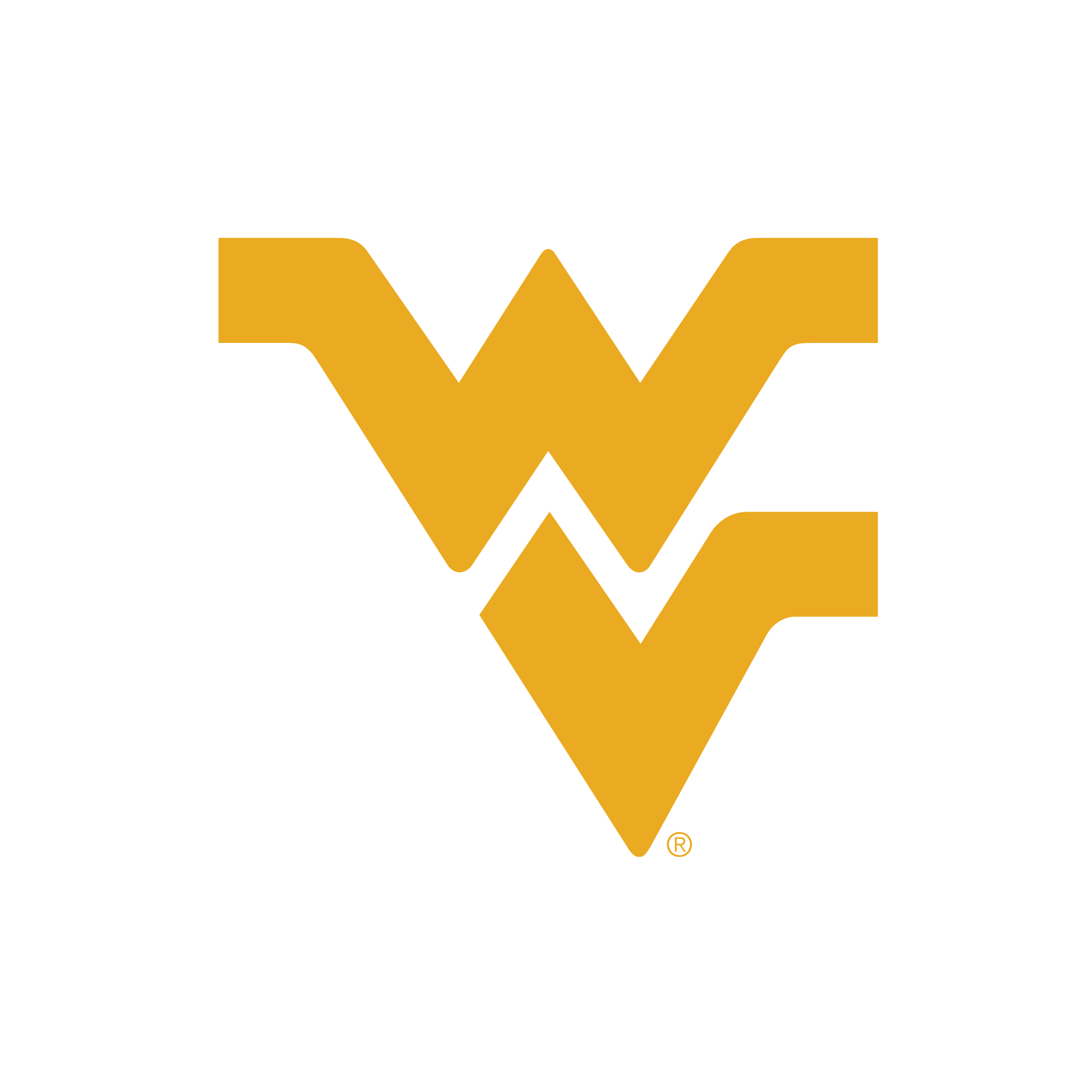 West Virginia Mountaineers