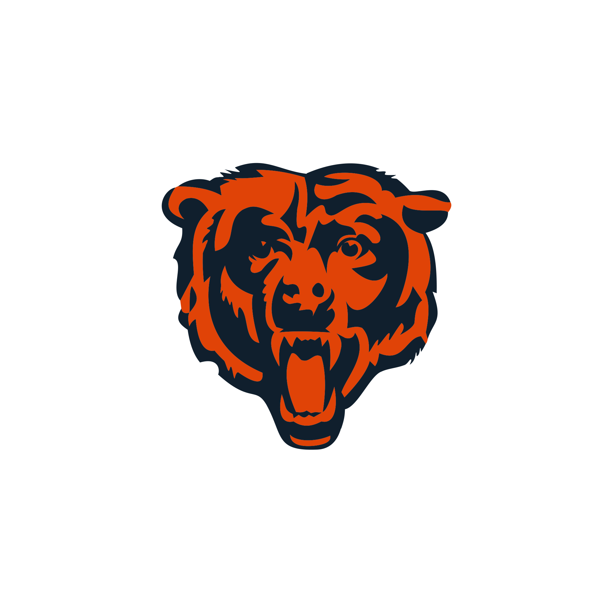 Chicago Bears