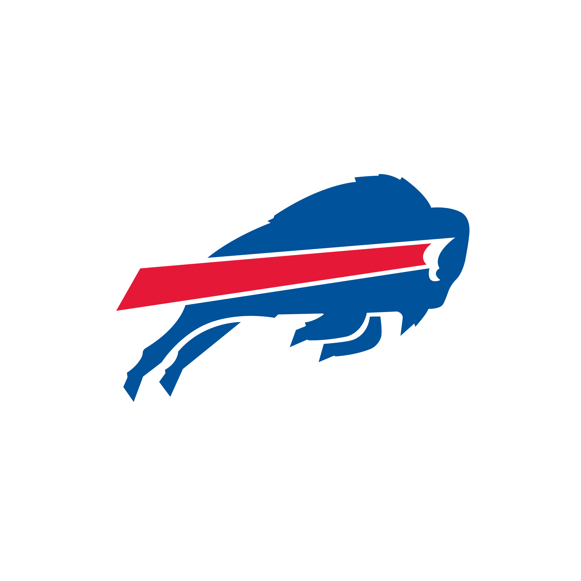 Buffalo Bills