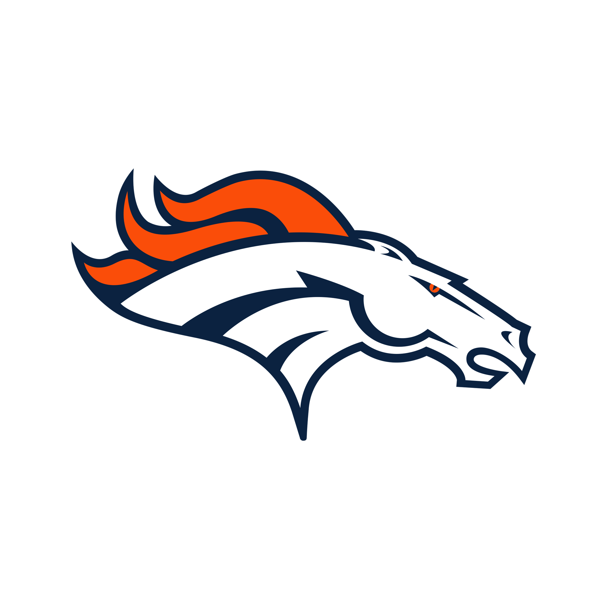 Denver Broncos