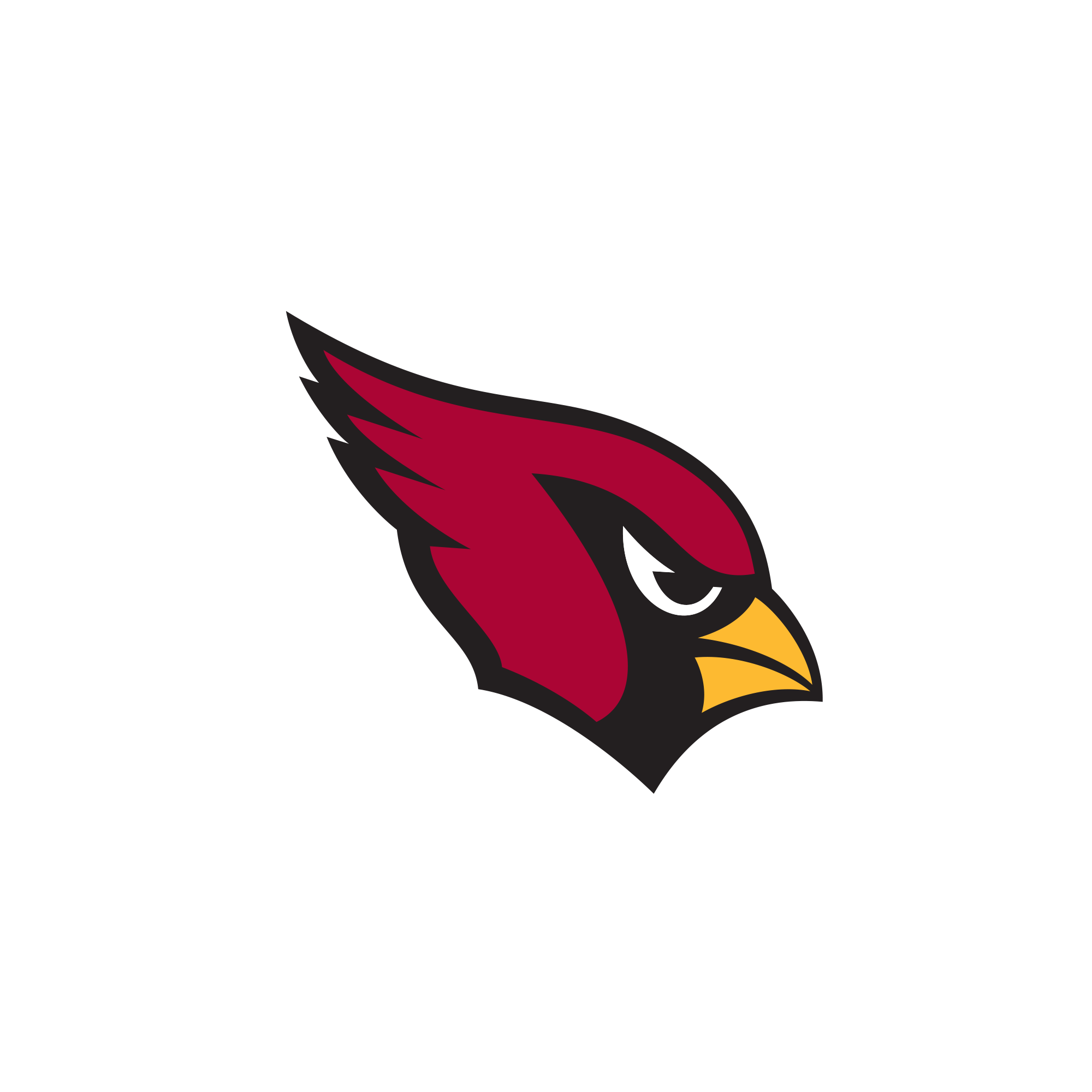 Arizona Cardinals
