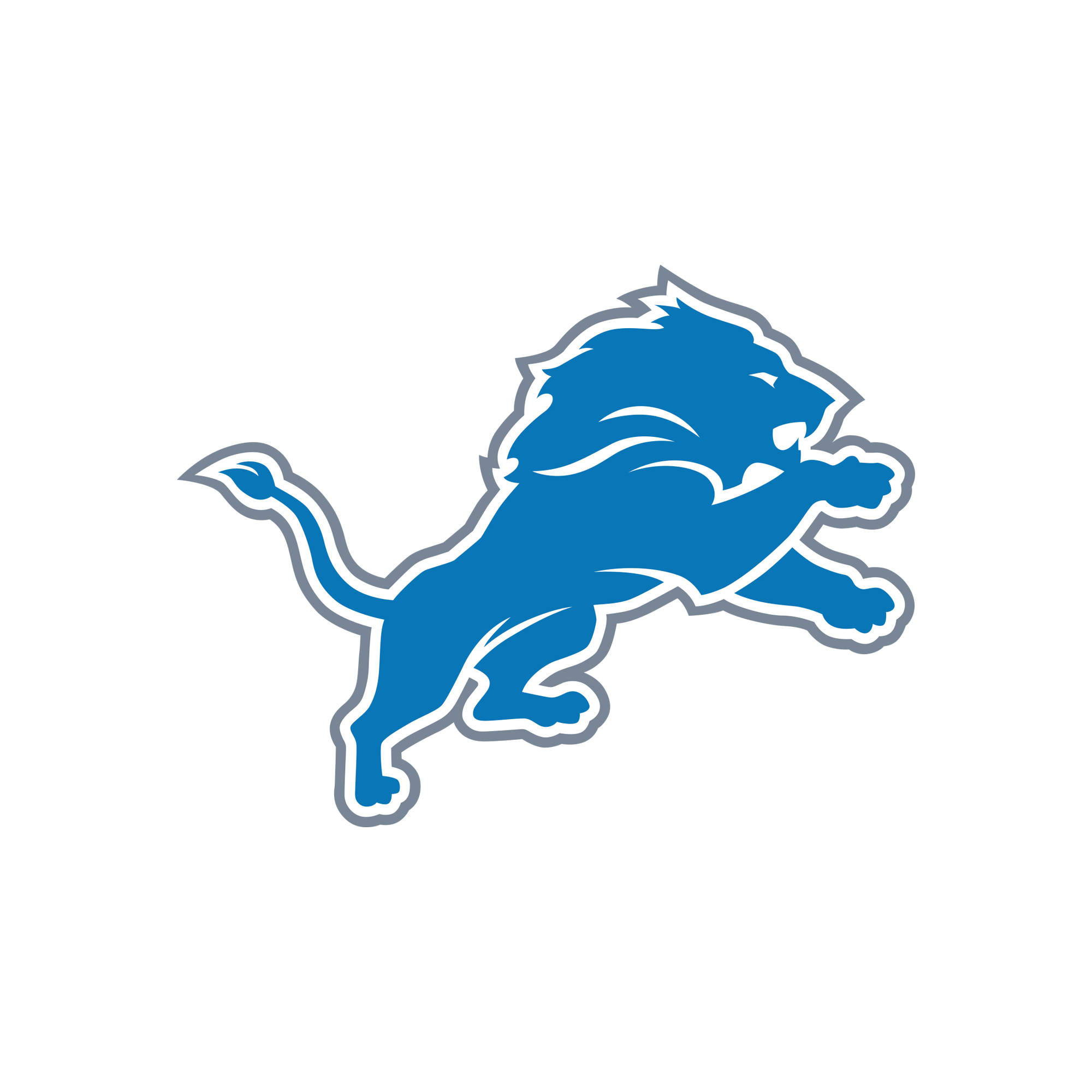 Detroit Lions