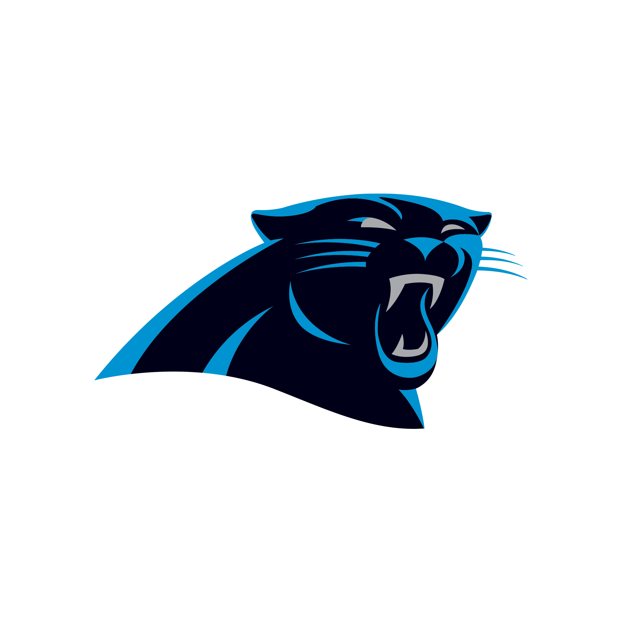 Carolina Panthers