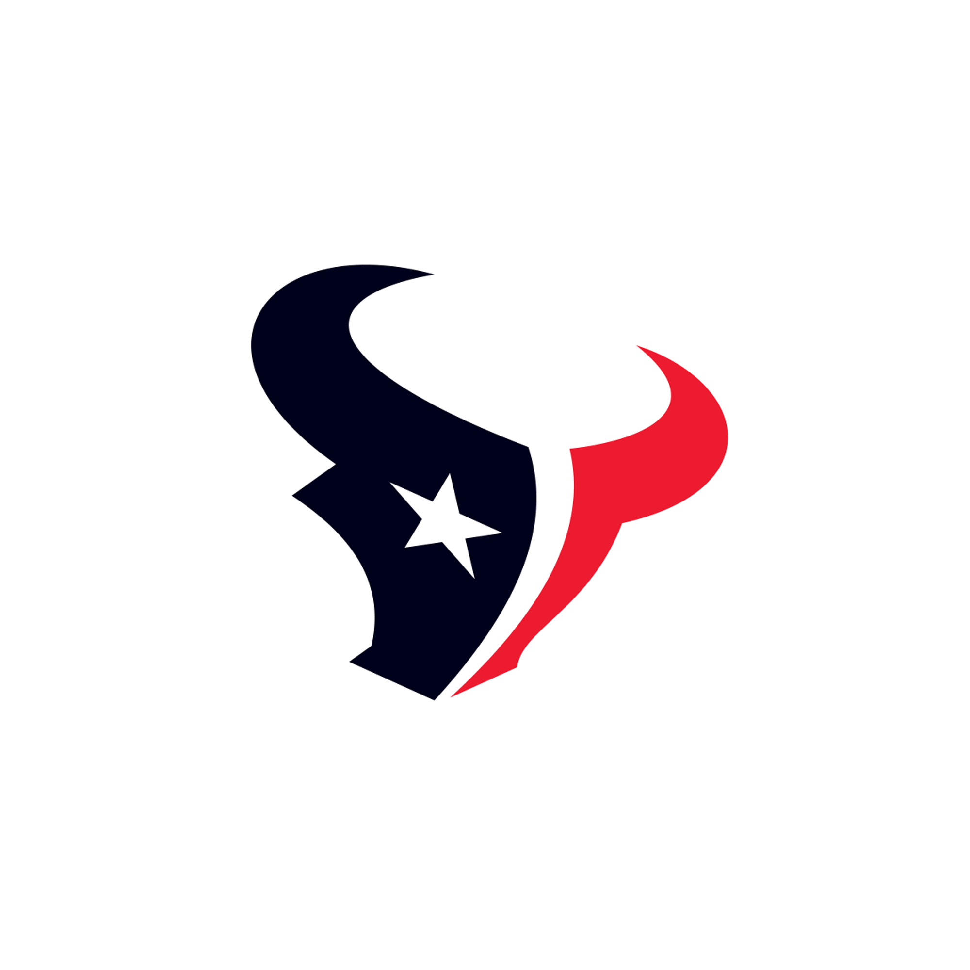 Houston Texans